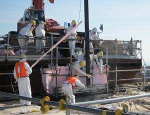 Nuclear fuel rods removed from Japan's Fukushima plant