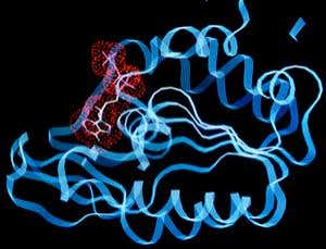 Designer enzymes: Learning to rival nature's wizardry