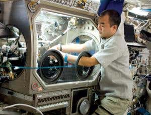 New Scientist. Science news and long reads from expert journalists, covering developments in science, technology, health and the environment on the website and the magazine.