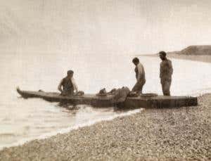 New Scientist. Science news and long reads from expert journalists, covering developments in science, technology, health and the environment on the website and the magazine.