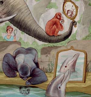 Are these the brain cells that give us consciousness?