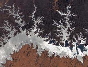 New Scientist. Science news and long reads from expert journalists, covering developments in science, technology, health and the environment on the website and the magazine.