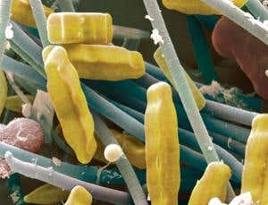 New Scientist. Science news and long reads from expert journalists, covering developments in science, technology, health and the environment on the website and the magazine.