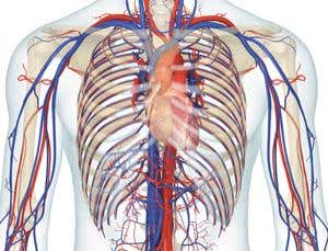 Olympic extremes: Blood sport