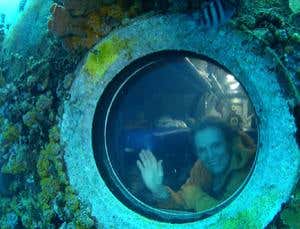 New Scientist. Science news and long reads from expert journalists, covering developments in science, technology, health and the environment on the website and the magazine.