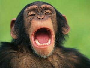 New Scientist. Science news and long reads from expert journalists, covering developments in science, technology, health and the environment on the website and the magazine.