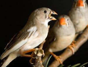 New Scientist. Science news and long reads from expert journalists, covering developments in science, technology, health and the environment on the website and the magazine.