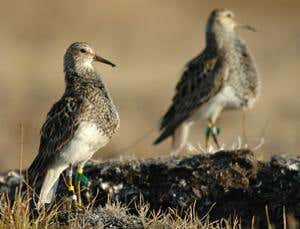 New Scientist. Science news and long reads from expert journalists, covering developments in science, technology, health and the environment on the website and the magazine.