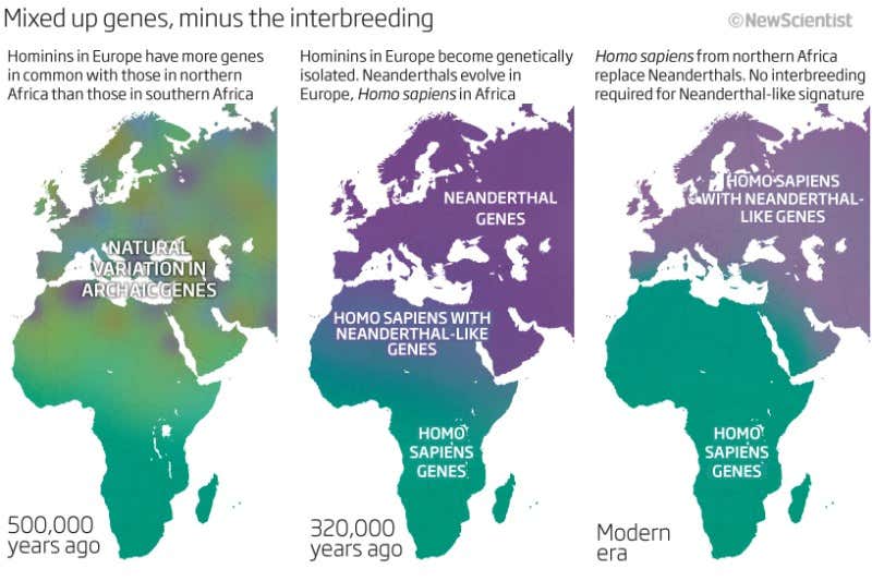 Mixed-up genes, minus the interbreeding