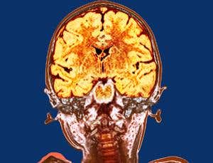 New Scientist. Science news and long reads from expert journalists, covering developments in science, technology, health and the environment on the website and the magazine.