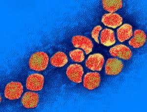 New Scientist. Science news and long reads from expert journalists, covering developments in science, technology, health and the environment on the website and the magazine.