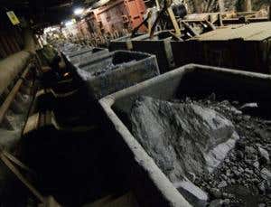 New Scientist. Science news and long reads from expert journalists, covering developments in science, technology, health and the environment on the website and the magazine.