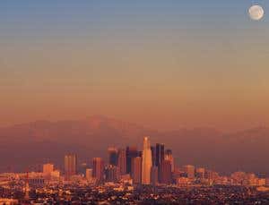 New Scientist. Science news and long reads from expert journalists, covering developments in science, technology, health and the environment on the website and the magazine.