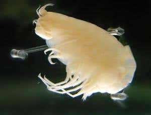 New Scientist. Science news and long reads from expert journalists, covering developments in science, technology, health and the environment on the website and the magazine.