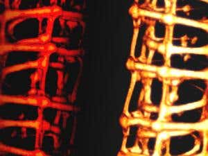 Cyborg tissue is half living cells, half electronics