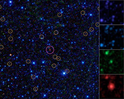 False-colour images of hot DOGs at four different infrared wavelengths (right column) 