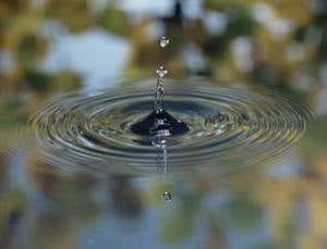 Ghosts in the atom: Unmasking the quantum phantom