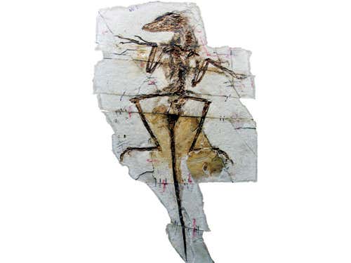 New Scientist. Science news and long reads from expert journalists, covering developments in science, technology, health and the environment on the website and the magazine.