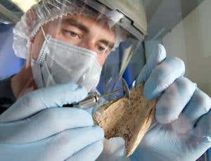 Fossils: New answers from old DNA