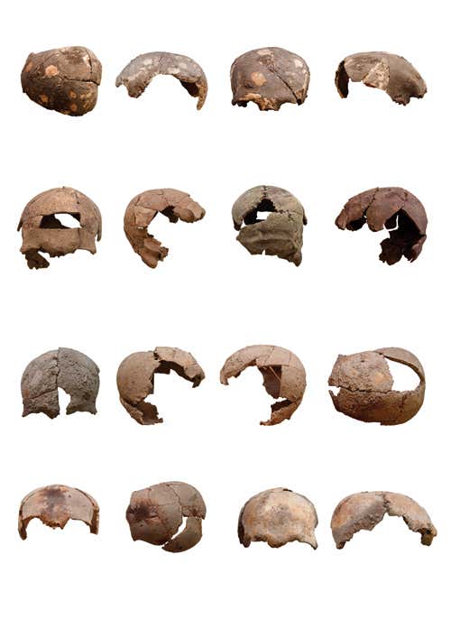 Stone Age skull-smashers spark a cultural mystery