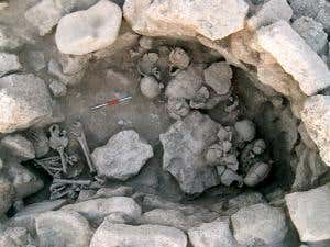 Stone Age skull-smashers spark a cultural mystery