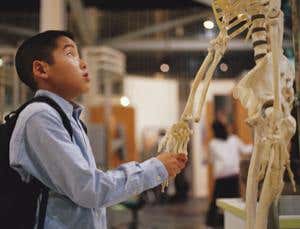 New Scientist. Science news and long reads from expert journalists, covering developments in science, technology, health and the environment on the website and the magazine.