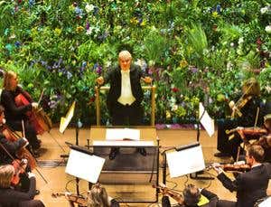 Plant senses: Hearing