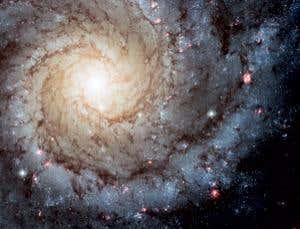 New Scientist. Science news and long reads from expert journalists, covering developments in science, technology, health and the environment on the website and the magazine.