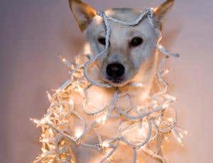 Bendy battery lets you wear gadgets' power supply