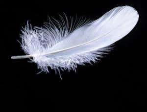 Smartphones put the app into physics apparatus