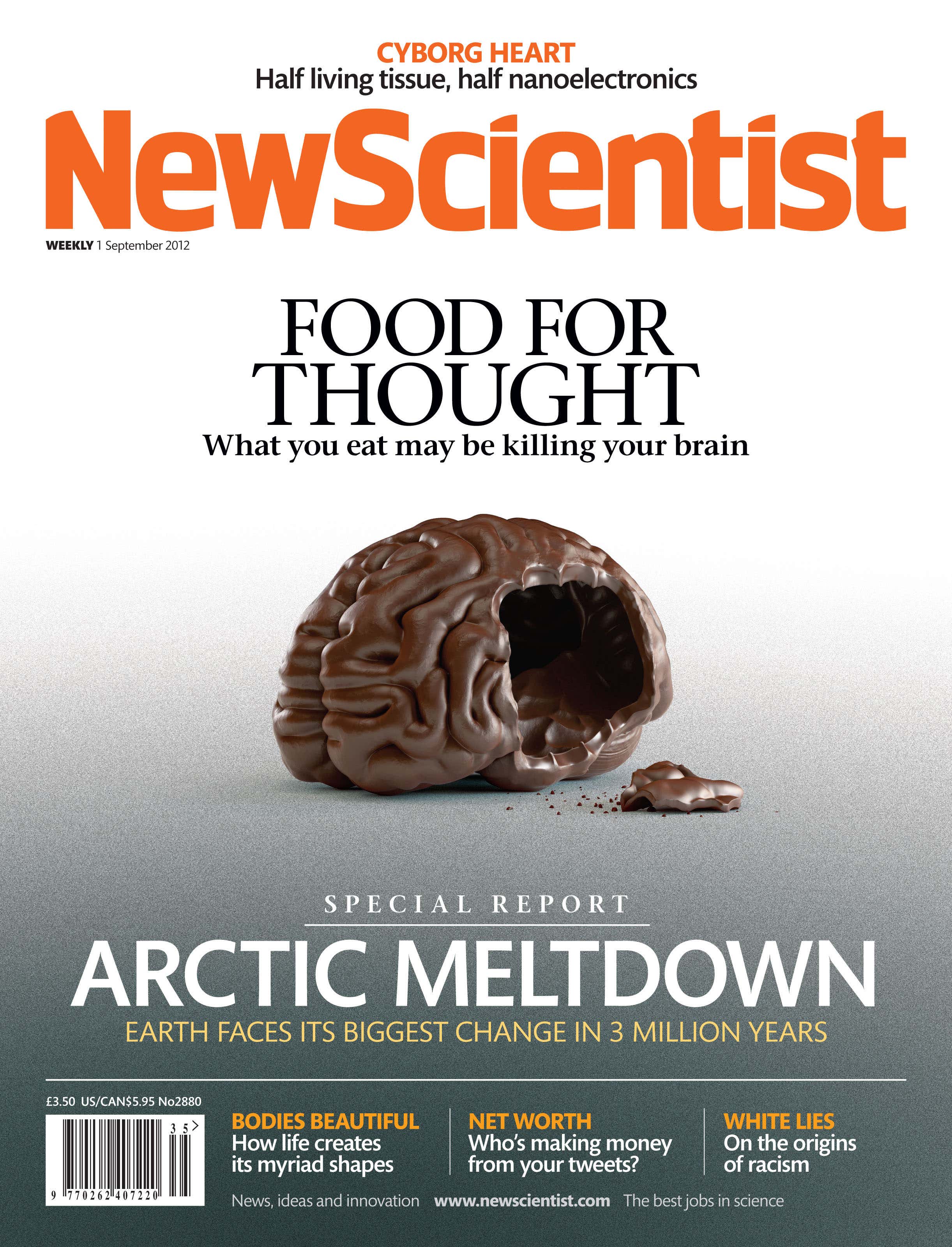 New Scientist issue 2880 cover