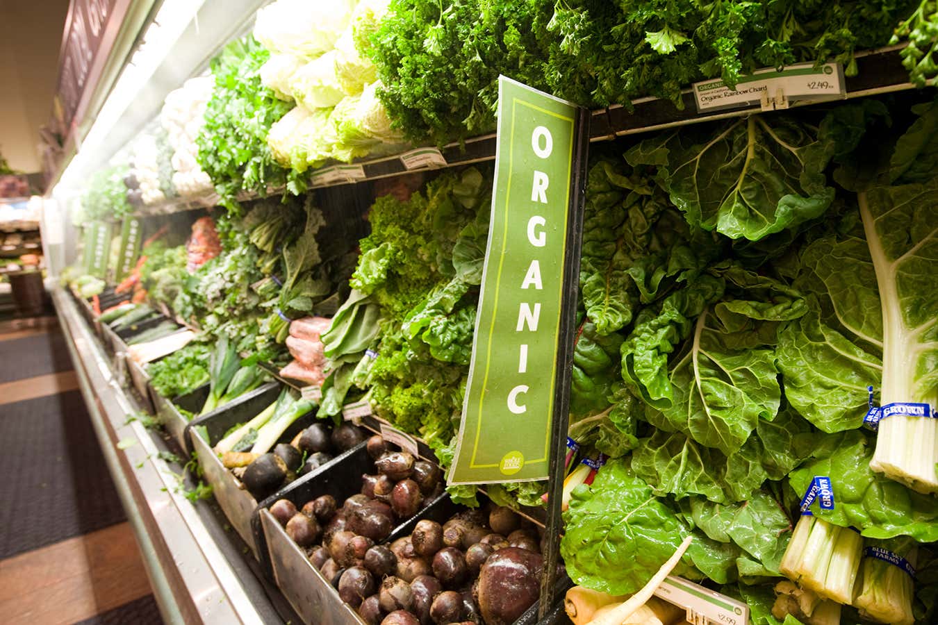 New Scientist. Science news and long reads from expert journalists, covering developments in science, technology, health and the environment on the website and the magazine.