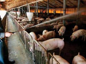 New Scientist. Science news and long reads from expert journalists, covering developments in science, technology, health and the environment on the website and the magazine.