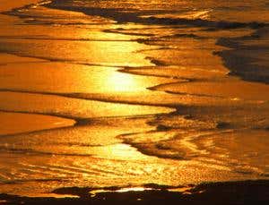 New Scientist. Science news and long reads from expert journalists, covering developments in science, technology, health and the environment on the website and the magazine.