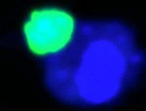 New Scientist. Science news and long reads from expert journalists, covering developments in science, technology, health and the environment on the website and the magazine.