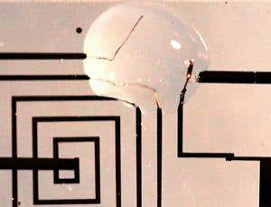 New Scientist. Science news and long reads from expert journalists, covering developments in science, technology, health and the environment on the website and the magazine.