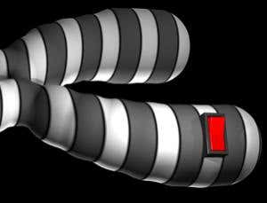 New Scientist. Science news and long reads from expert journalists, covering developments in science, technology, health and the environment on the website and the magazine.