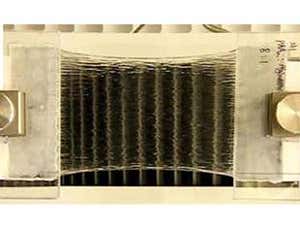 New Scientist. Science news and long reads from expert journalists, covering developments in science, technology, health and the environment on the website and the magazine.