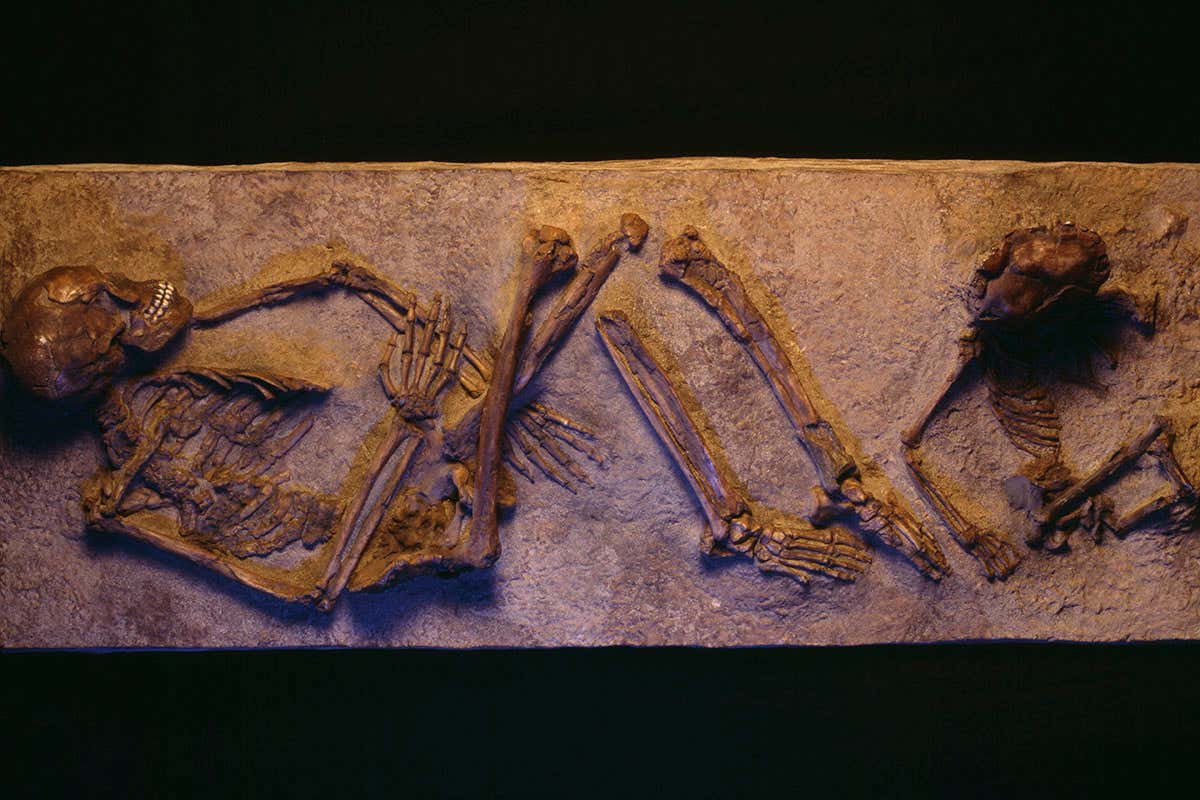 Death: A special report on the inevitable