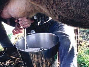 New Scientist. Science news and long reads from expert journalists, covering developments in science, technology, health and the environment on the website and the magazine.