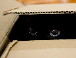 New Scientist. Science news and long reads from expert journalists, covering developments in science, technology, health and the environment on the website and the magazine.