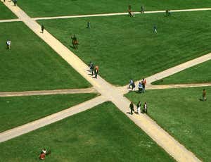 New Scientist. Science news and long reads from expert journalists, covering developments in science, technology, health and the environment on the website and the magazine.