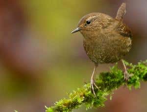 New Scientist. Science news and long reads from expert journalists, covering developments in science, technology, health and the environment on the website and the magazine.