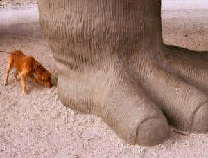 New Scientist. Science news and long reads from expert journalists, covering developments in science, technology, health and the environment on the website and the magazine.