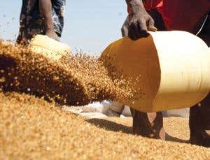 New Scientist. Science news and long reads from expert journalists, covering developments in science, technology, health and the environment on the website and the magazine.