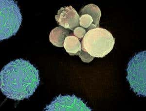 New Scientist. Science news and long reads from expert journalists, covering developments in science, technology, health and the environment on the website and the magazine.