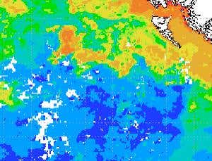 New Scientist. Science news and long reads from expert journalists, covering developments in science, technology, health and the environment on the website and the magazine.