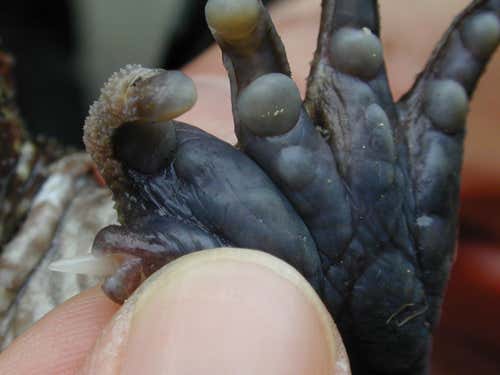 New Scientist. Science news and long reads from expert journalists, covering developments in science, technology, health and the environment on the website and the magazine.