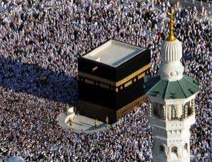 New Scientist. Science news and long reads from expert journalists, covering developments in science, technology, health and the environment on the website and the magazine.