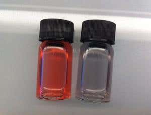 New Scientist. Science news and long reads from expert journalists, covering developments in science, technology, health and the environment on the website and the magazine.